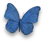 Rotana Residences Al Reem Island butterfly symbol